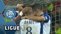 But Gaël DANIC (73ème) / LOSC - SC Bastia (1-1) -  (LOSC - SCB) / 2015-16