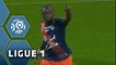 But Jérôme ROUSSILLON (24ème) / Montpellier Hérault SC - FC Nantes (2-1) -  (MHSC - FCN) / 2015-16