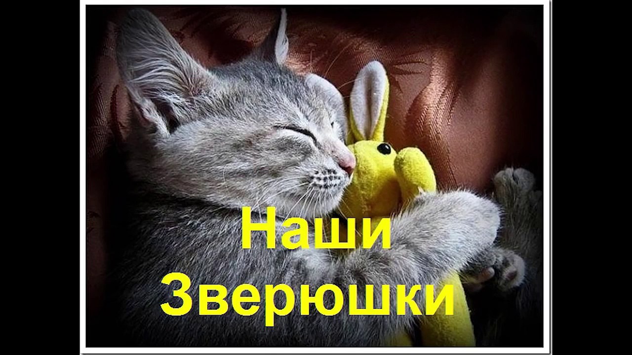 Самый добрый ролик на свете! 2