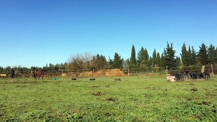 Challenge 6 - Elo et Romagne- the weave