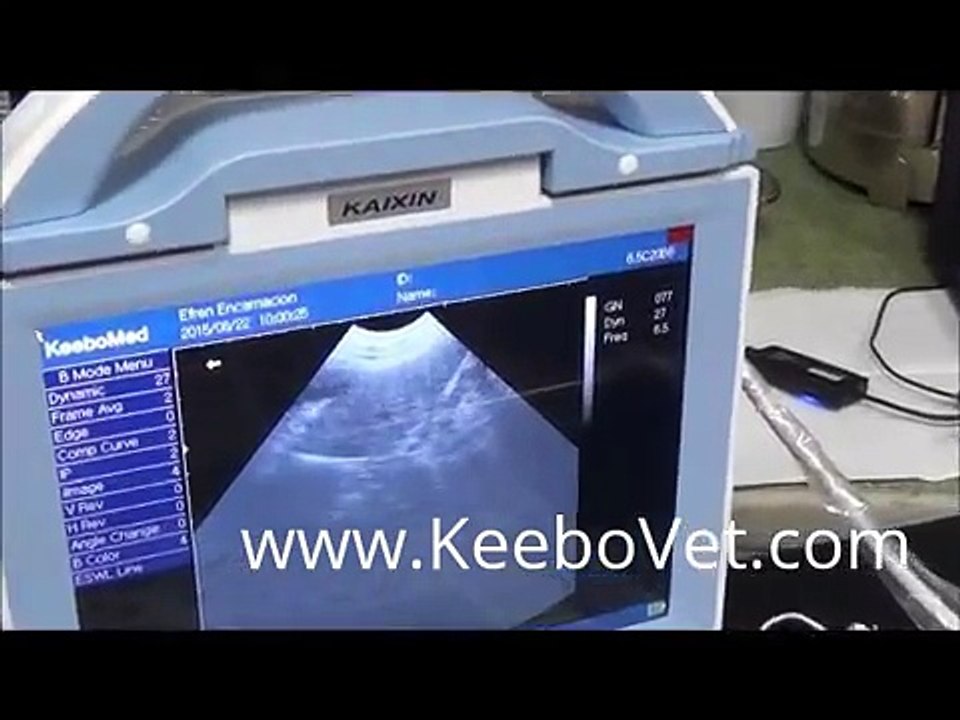 Constipation in dog diagnosed with veterinary ultrasound vet surgery