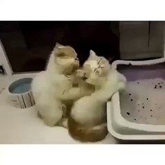 Sometimes all you need is a good massage from some good hands!