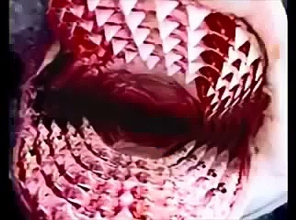 Oggy And The Cockroaches New Episode In Hindi Inside Out