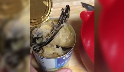 Elle trouve un oiseau mort dans une boîte de conserve