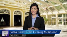 Pocka Dola: Carpet Cleaning Melbourne Narre Warren Amazing5 Star Review by Damir K.