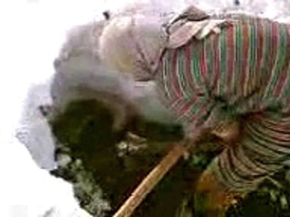 ПЕСНЯ ПРО ЁЛОЧКУ ( ВИДЕО ДЛЯ НОВОГО ГОДА )