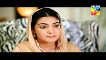 Kaise Tumse Kahoon Episode 15 Full Hum TV Drama 8 Nov 2015
