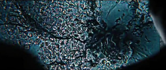 Maze Runner_ The Scorch Trials - Movies