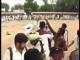 Beautiful Horse dancing and a man firing