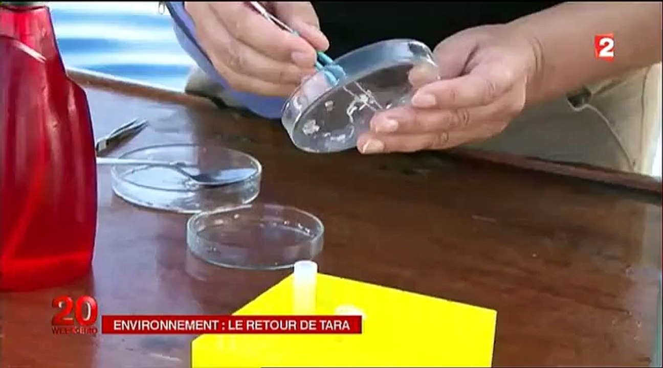 Pollution des mers par le plastqique 2014_11_22