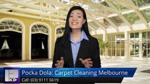 Pocka Dola: Carpet Cleaning Melbourne Notting Hill SuperbFive Star Review by Ed C.