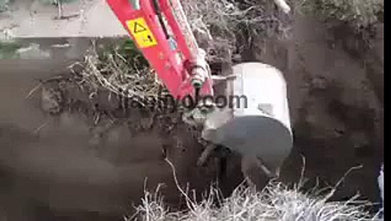 İş Makinesiyle Gevezelik Yapmak