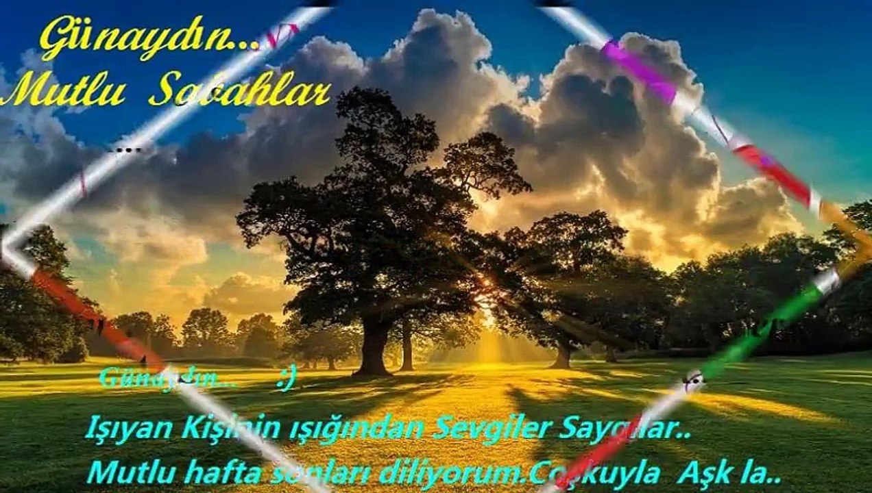 RESİMLERİN DİYARI & UZAYIN ÇİÇEĞİ MARON - ARKADAŞ