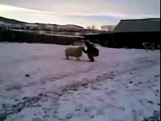 Боевой Баран Борис