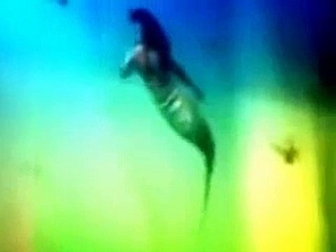 Real Mermaid(JAL PARI) Presented in Exhibition Held in France