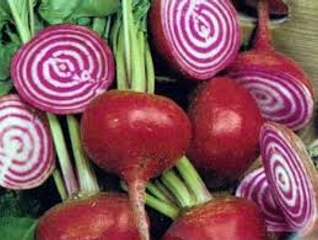 فوائد الشمندر لمقاومة السرطان