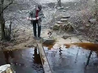 This cat knows how to avoid water!Funny!