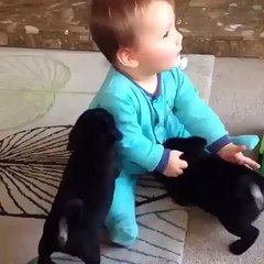 So much cuteness in one video!