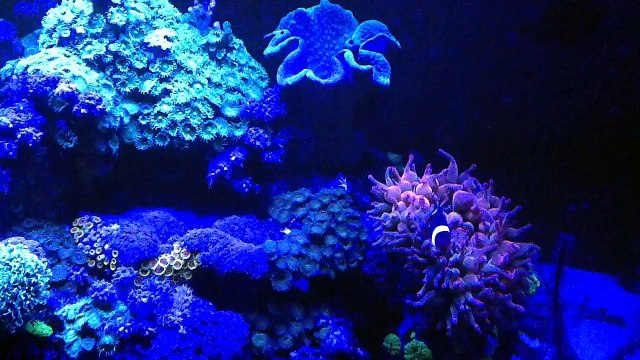 trim.F5648A1E-D652-4740-8FF5-59A77B8462F2