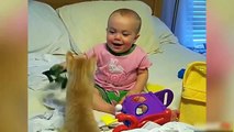 Funny Dogs & Cats - Dog & Cat love Babie so much - Funny Dogs Cats Compilation ( 20xx- 201