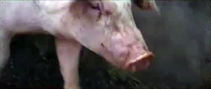 유흥다이소』UDAISO01.COM㏇오산오피―역삼오피≤대전오피≥서초오피