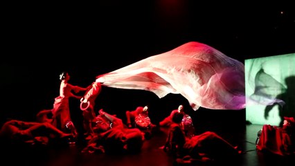 КАФЕ ИДИОТ  CAFE IDIOT Moscow Ballet