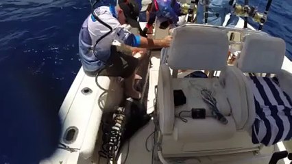 Gopro fishing vanuatu pt2