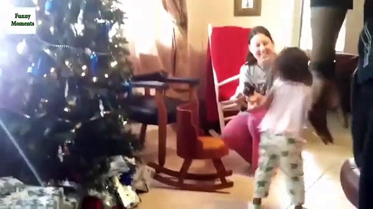 Le cadeau inattendu de la vie. Cadeau drôle de chaton