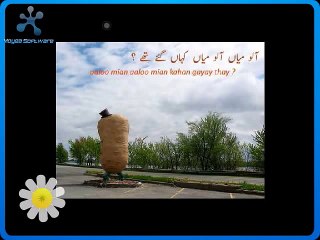 Aaloo Mian Aaloo Mian