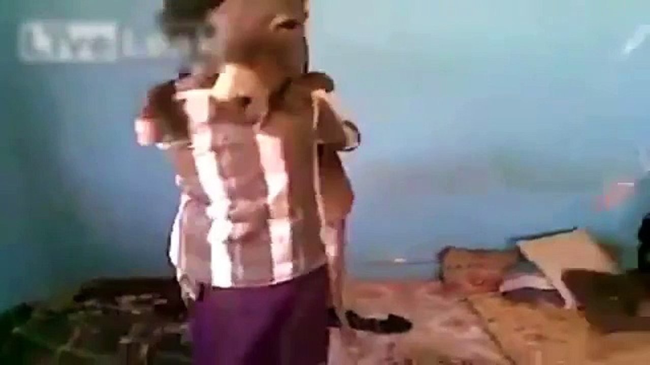Burro es relajante. Bailando burro divertido con el propietario