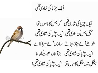 ek chirya ke shadi thi.