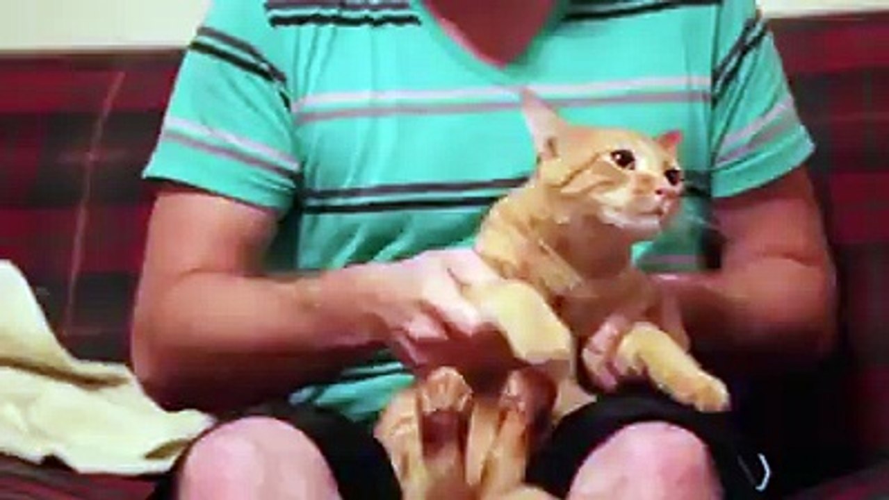 funny video