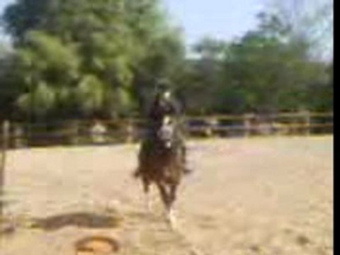 double vertical oxer