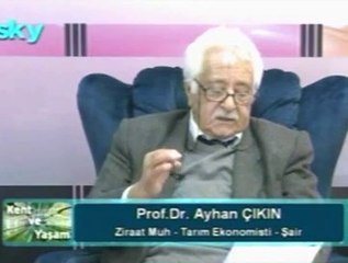 HAVAS- KENDİNE YABANCI ADAM-T. AYHAN ÇIKIN
