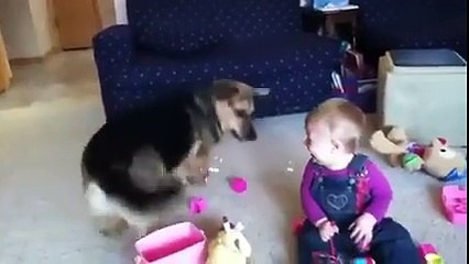 ek bar Zarror dekhy -Must watch