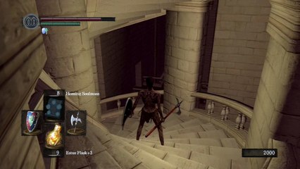 Rare Dark Souls Idle Animation