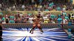 Wrestling Fight - Last Man Standing Match - Triple H vs Brian Danielson (WWE 2K14)