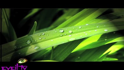 Eveil Tv Le pourvoir de la pensée par la télékinésie Documentaire 1