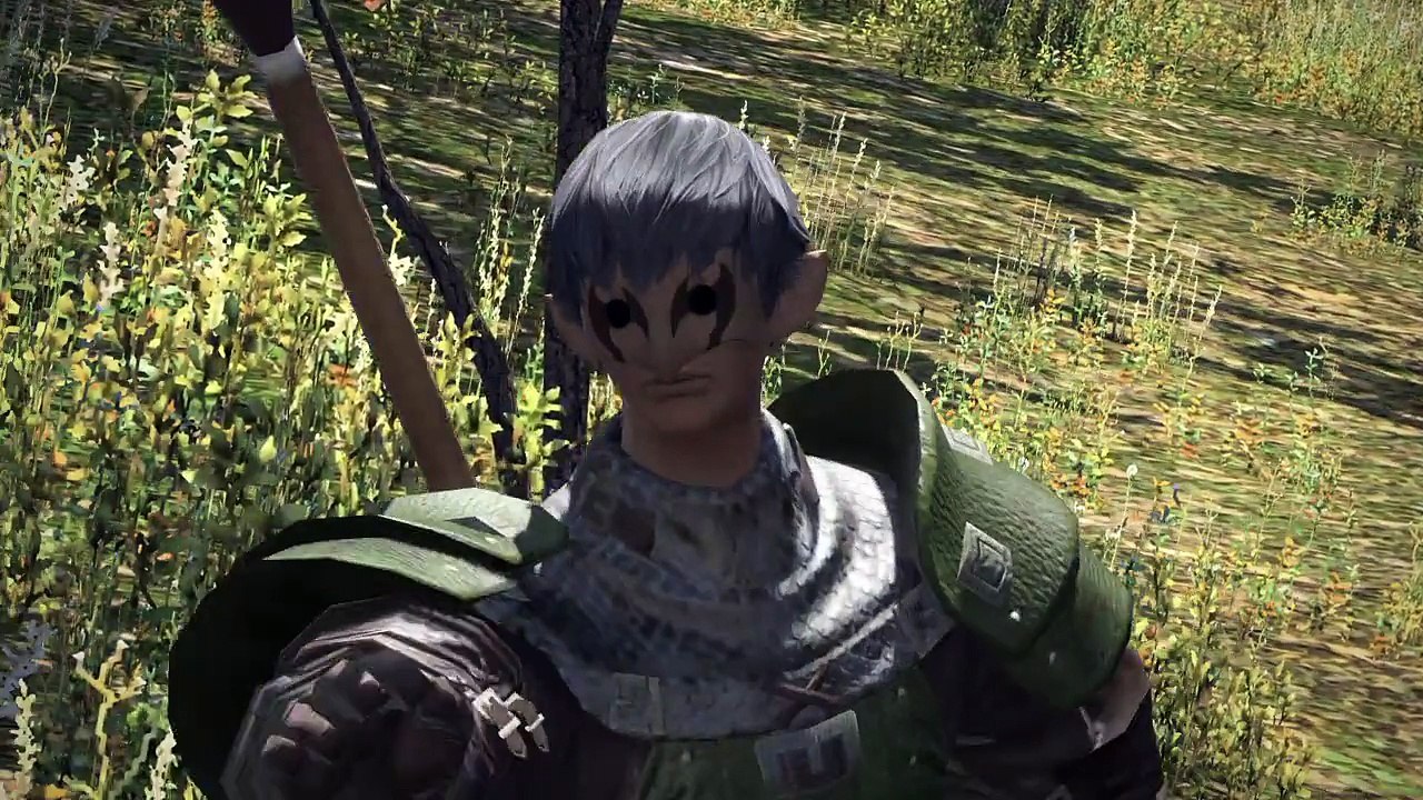 FINAL FANTASY XIV~Heavensward: премьера (мой прототип в игре, как коте)
