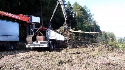 2x Fendt 936 Vario & Mus-Max WT11 Prototype Tree Harvester Machine