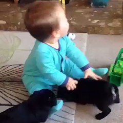 So much cuteness in one video!!