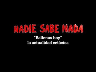 Momentos NSN (3x06): Ballenas hoy, la actualidad cetácica