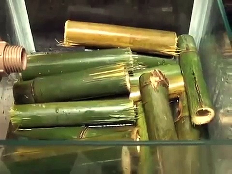 O dessalinizador de Bambu para ÁGUA do MAR - CIÊNCIA