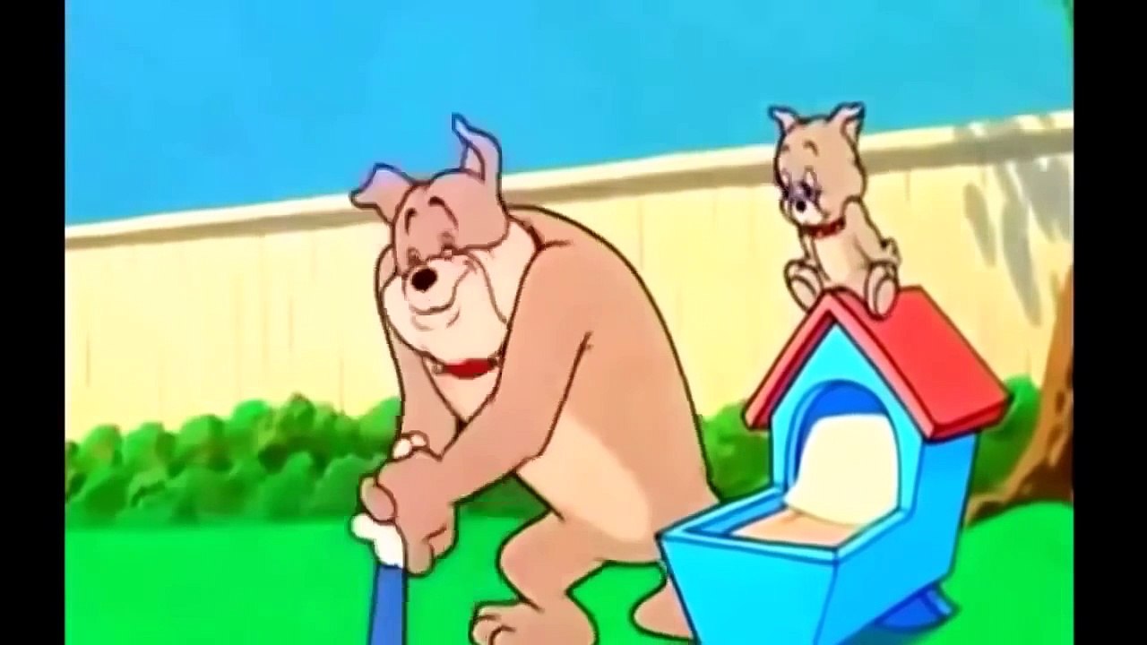 Tom y Jerry en Español Latino 2015 - Dibujos Animados Infantiles Completos de Disney