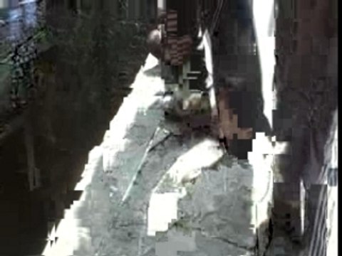 hugo ki sote le gro gitan mdr