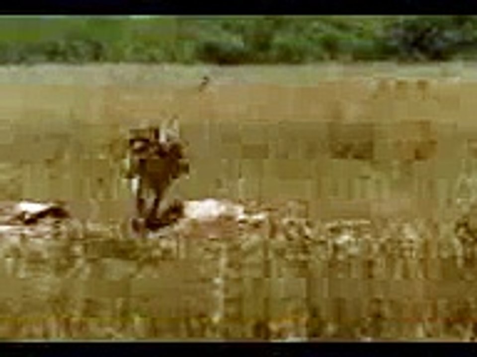 Man vs Tiger(funny)