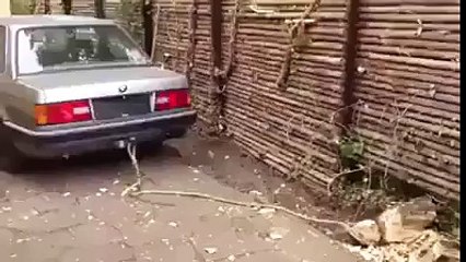A bad push with car break back glans of the car,