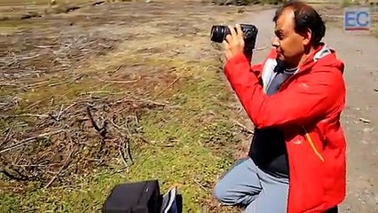 Cómo cambiaron los glaciares del volcán Cotopaxi