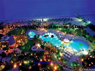 How to Make a Gorgeous Tour Packages in Dubai