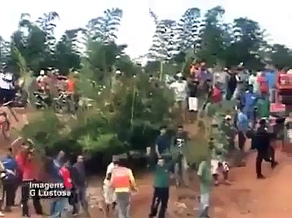 Found Biggest Python by the Villagers